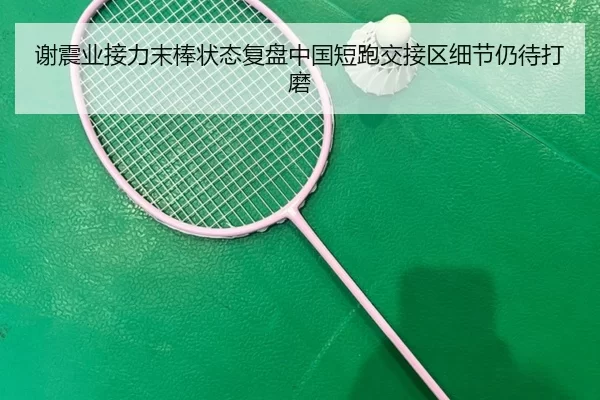 谢震业接力末棒状态复盘中国短跑交接区细节仍待打磨